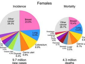 赛诺根乳腺癌药10年临床结果发表 从K药到瑞拓龄 原研药为何天价