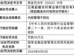 云南勐腊农商银行因内控管理不到位被罚45万