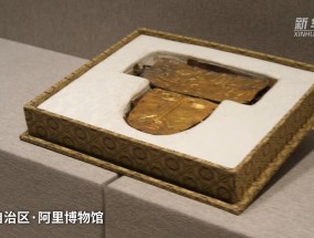 铸牢共同体中华一家亲｜雪域高原焕新貌：去阿里博物馆“寻宝”！