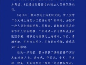 “上海有人员因台风被吹落高坠”？上海警方：8人编造传播谣言被依法查处