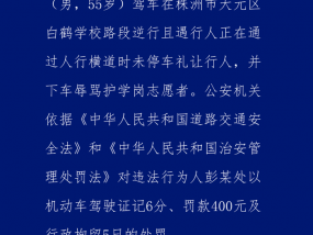 男子驾车在学校路段逆行且辱骂护学岗志愿者，湖南株洲警方通报