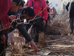 县领导带400人强拆大学生创业果园，就没有一点愧疚感吗？