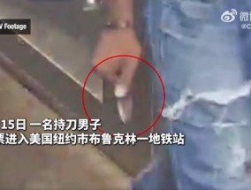 纽约警察地铁追捕逃票者，对逃票者开枪同时击中同事和路人，画面公布！