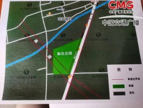 建设高速要征地，河南叶县人民政府领导带队强拆大学生创业果园？记者调查