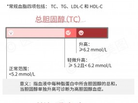 简单三步丨看懂你的血脂报告